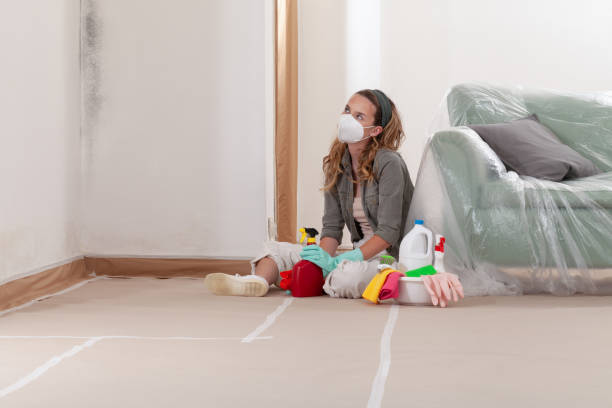 Reliable Mold Inspection contractor in Hanover, PA by WQB Mold Removal